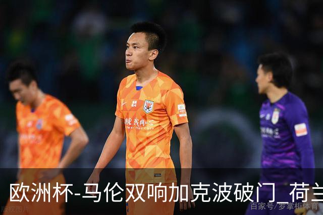 欧洲杯-马伦双响加克波破门 荷兰3-0罗马尼亚